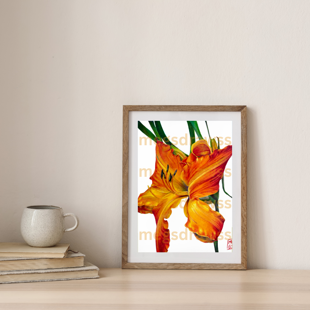 Orange Lily Print