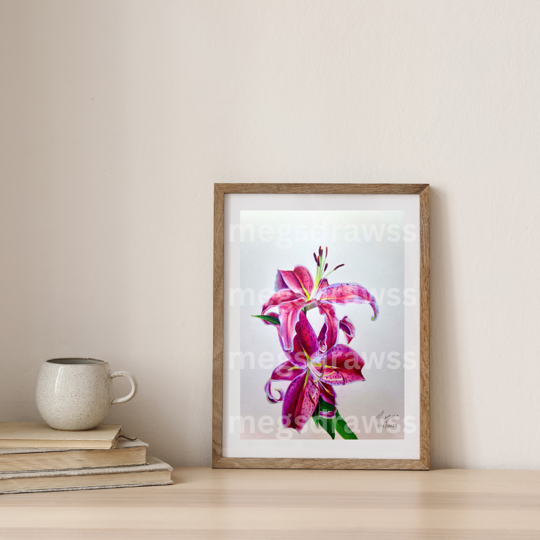 Pink Lily Drawing Print