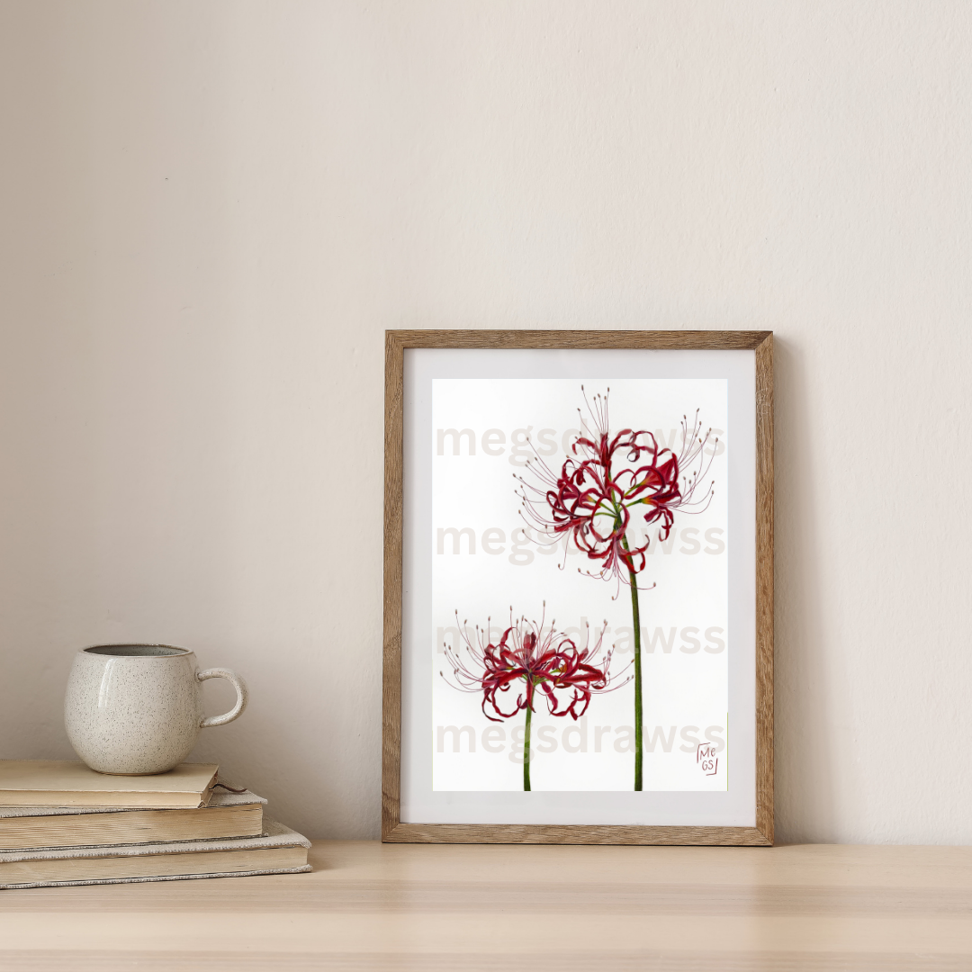 Spider Lily Print